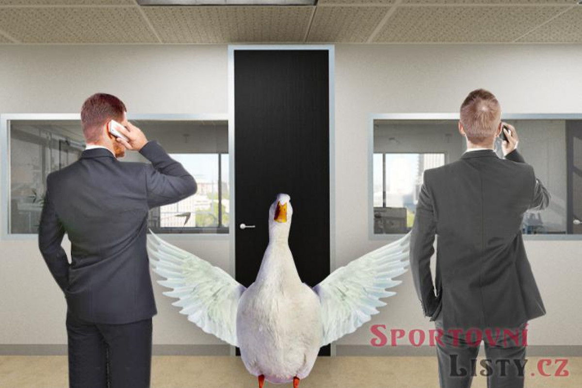 Chceme vyhrát baráž, realita musí jít stranou Chceme vyhrát baráž, realita musí jít stranou